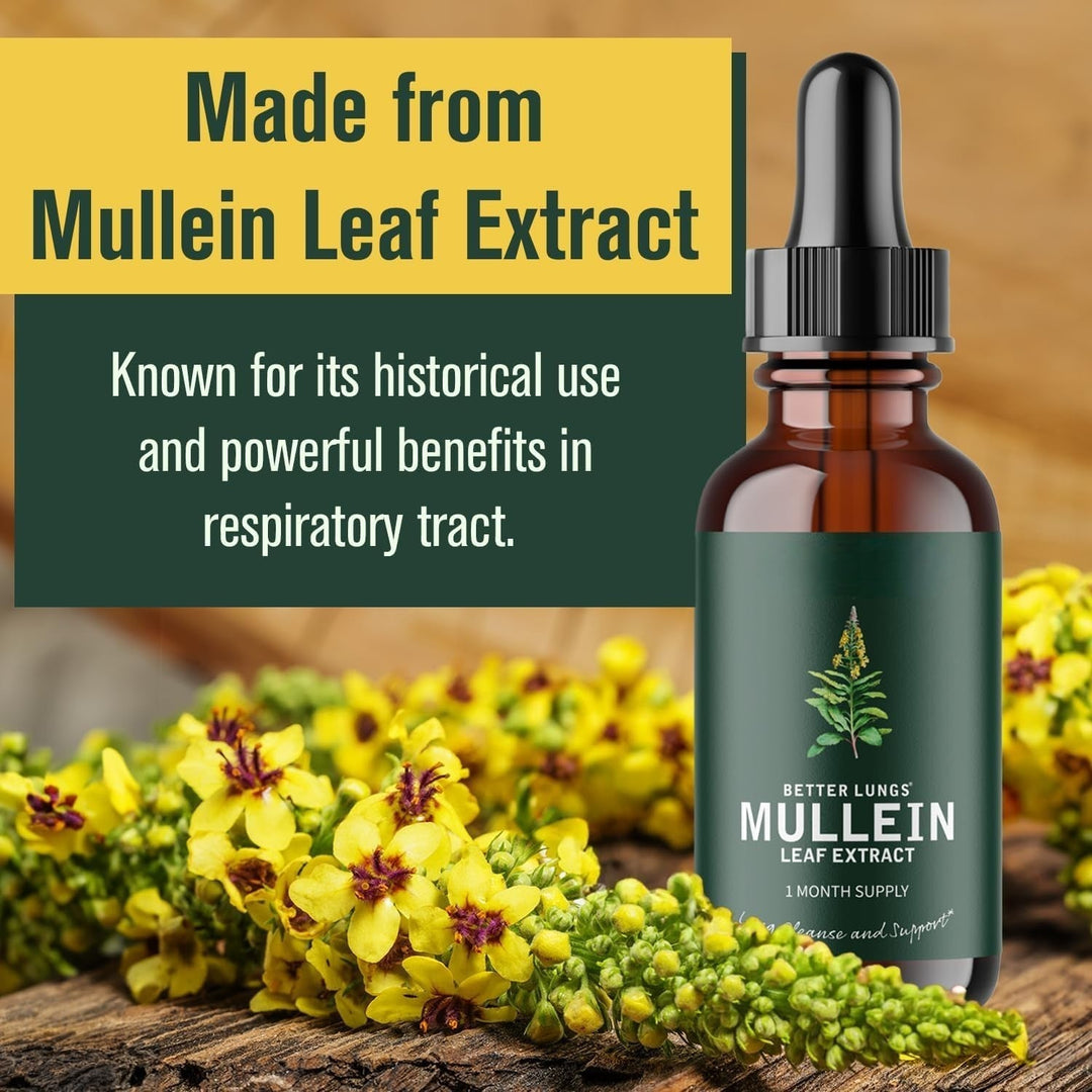 Mullein Leaf Extract